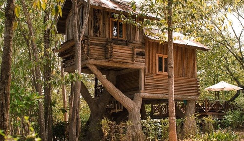 Tree House Romantique, 1 très grand lit, vue jardin