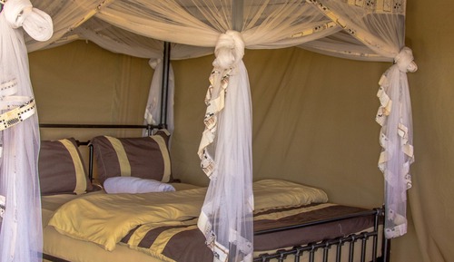 Chambre Double ou avec lits jumeaux
