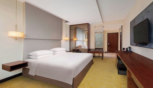 Chambre Exécutive, 1 très grand lit