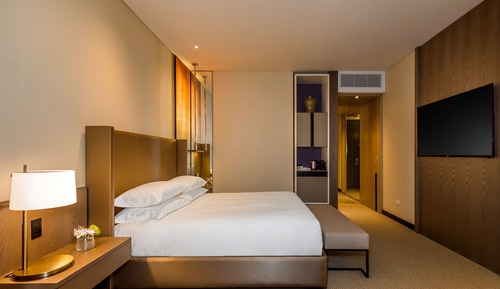 Chambre, 1 très grand lit, avec vue (Andes View)
