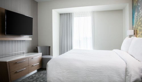 Suite, 1 très grand lit et 1 canapé-lit (Mobility/Hearing Accessible, Tub)