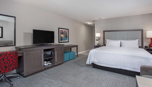 Chambre, 1 très grand lit et 1 canapé-lit, réfrigérateur et four à micro-ondes