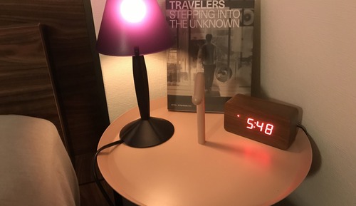 Chambre Standard, 1 chambre, non-fumeurs (Room No.101 )