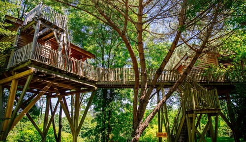 Tree House, plusieurs lits, non-fumeurs (Cabane Palombière)