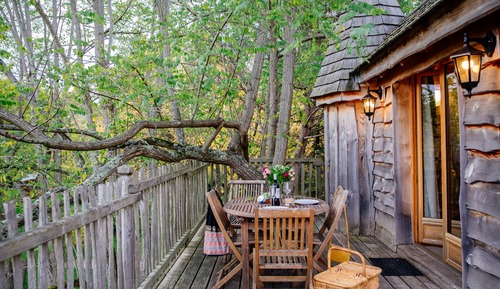 Tree House, plusieurs lits, non-fumeurs (Château dans les arbres)
