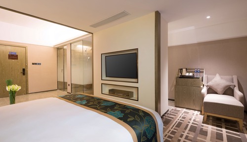 Chambre Affaires, 1 très grand lit