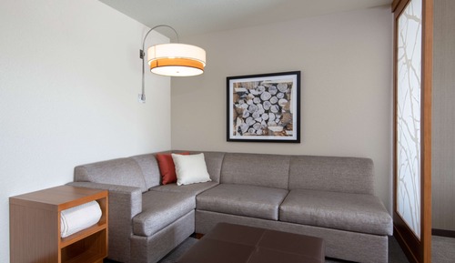 Chambre, 1 très grand lit et 1 canapé-lit, accessible aux personnes à mobilité réduite (Shower)