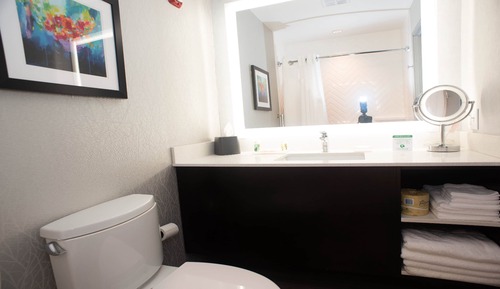 Suite, 1 très grand lit, baignoire accessible aux personnes à mobilité réduite (Mobility)