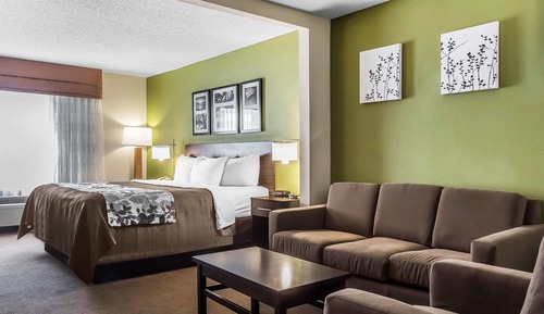 Suite, 1 très grand lit et 1 canapé-lit, accessible aux personnes à mobilité réduite, non-fumeurs