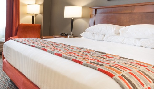 Chambre Deluxe, 1 très grand lit, réfrigérateur et four à micro-ondes