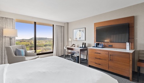 Chambre Deluxe, 1 très grand lit