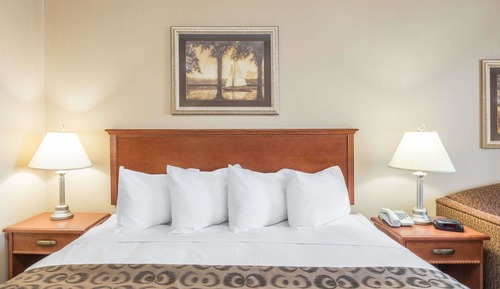 Suite, 1 très grand lit, non-fumeurs, baignoire à jets (One-Bedroom)