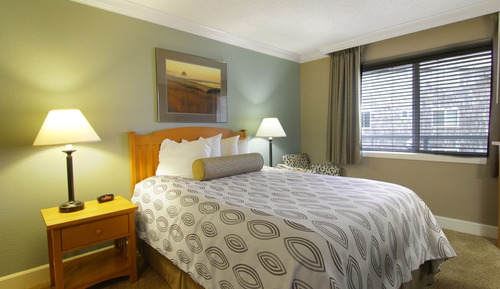 Appart'hôtel « Premier », 1 grand lit et 1 canapé-lit (OF Premier 1 Bed Corner Sut Pet OK)