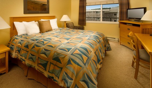 Chambre, 1 grand lit (Standard Queen Room Pet Friendly)