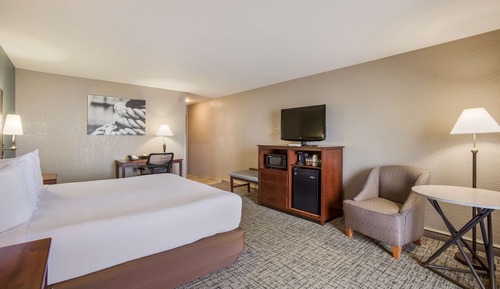 Chambre Standard, 1 très grand lit, réfrigérateur, vue partielle sur le lac