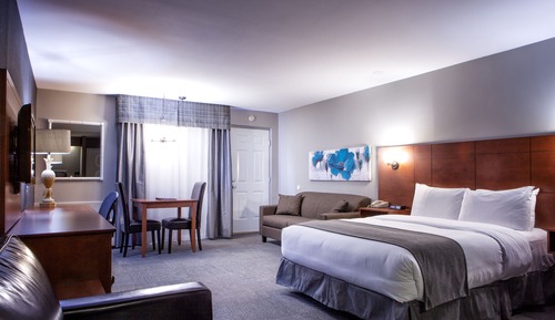 Grande chambre avec 1 lit Queen 