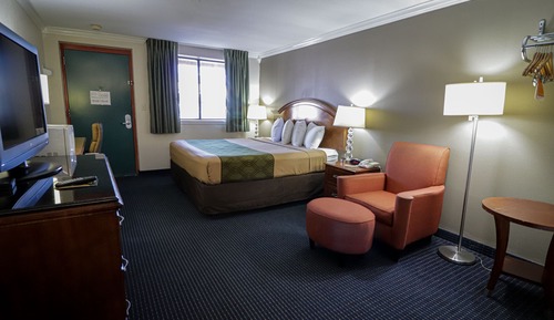 Chambre Deluxe, 1 très grand lit, accessible aux personnes à mobilité réduite, non-fumeurs