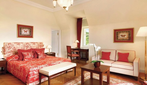 Chambre Deluxe, 1 très grand lit, non-fumeurs, vue jardin