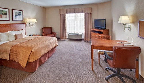 Suite Studio, 1 grand lit