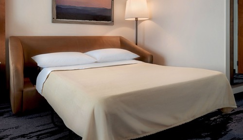 Suite Studio, 1 très grand lit et 1 canapé-lit, baignoire (Mobility/Hearing Accessible, Tub)