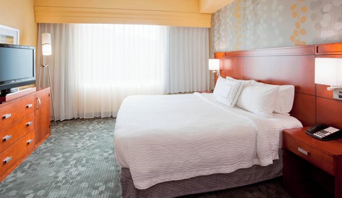 Chambre, 1 très grand lit et 1 canapé-lit (Hearing Accessible)