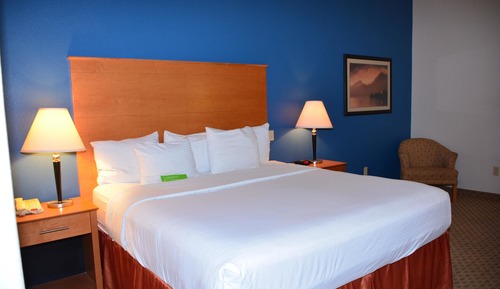 Chambre, 1 très grand lit, accessible aux personnes à mobilité réduite (Tub with Grab Bars)