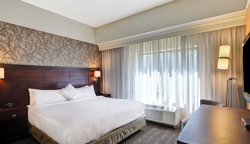 Chambre, 1 très grand lit et 1 canapé-lit (Mobility/Hearing Access, Roll-In Shwr)