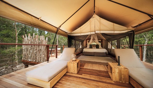 Tente Deluxe, 1 très grand lit, vue établissement