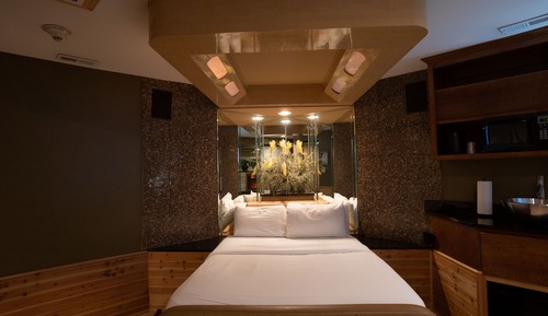 Suite Standard, 1 grand lit, non-fumeurs (Adults Only)
