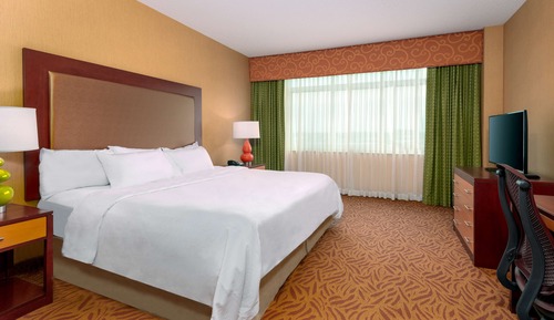 Suite, 1 très grand lit, accessible aux personnes à mobilité réduite, non-fumeurs (Bathtub)