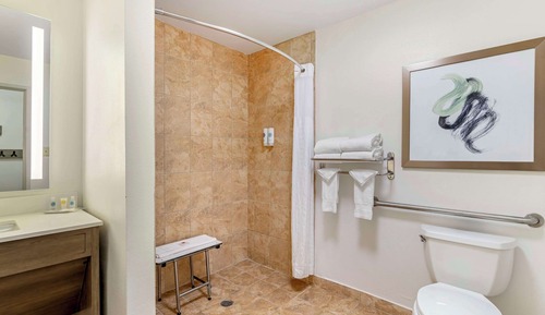Chambre, 2 grands lits, accessible aux personnes à mobilité réduite, non-fumeurs (Roll-In Shower)