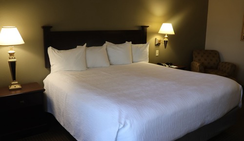 Chambre, 1 très grand lit, accessible aux personnes à mobilité réduite (Roll-In Shower)