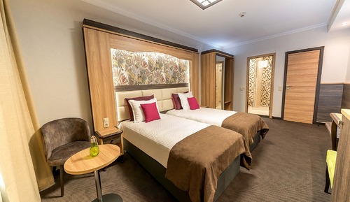 Chambre Standard (Free room upgrade upon availability)