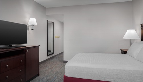 Chambre, 1 grand lit, accessible aux personnes à mobilité réduite, non-fumeurs