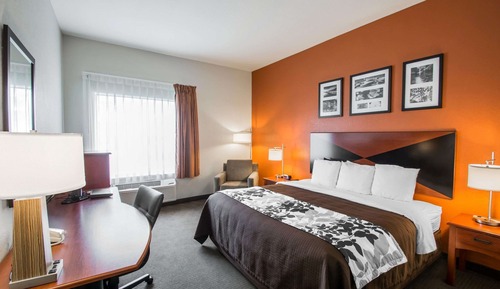 Chambre Standard, 1 très grand lit, non-fumeurs