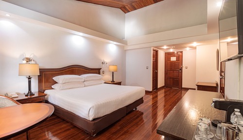 Chambre Standard, 1 très grand lit, non-fumeurs