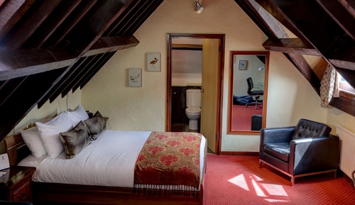 Chambre Standard, 1 lit double, non-fumeurs