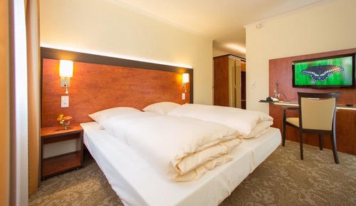 Chambre Double Standard