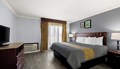 Suite Exécutive, 1 très grand lit et 1 canapé-lit, non-fumeurs, coin cuisine