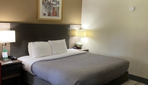 Chambre Standard, 1 grand lit, non-fumeurs (Sofa)
