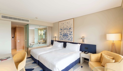 Chambre Deluxe avec lits jumeaux