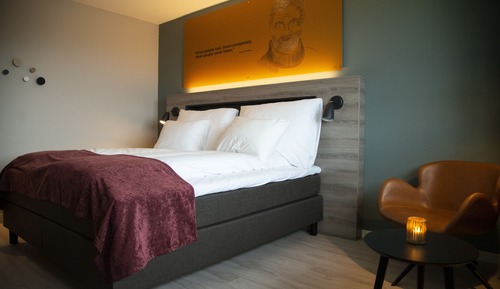 Chambre Double, 1 grand lit (Queen bed)