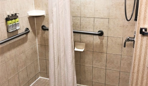 Chambre Standard, 1 très grand lit (Mobility Roll-In Shower)