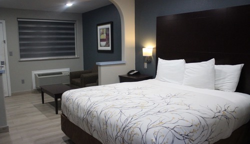 Chambre Exécutive, 1 très grand lit