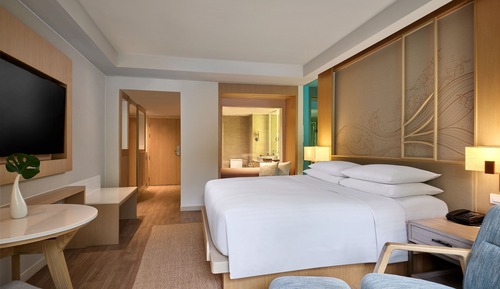 Chambre, 1 très grand lit, non-fumeurs, accès piscine (Guest Room)