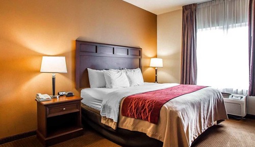 Chambre Standard, 1 très grand lit, accessible aux personnes à mobilité réduite, non-fumeurs