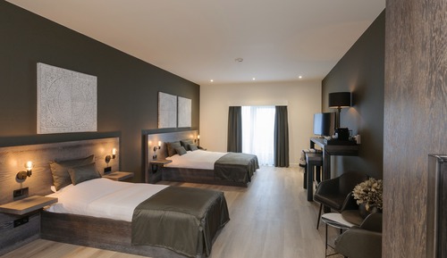 Chambre Affaires, 1 grand lit