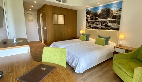 Chambre avec lits jumeaux, vue jardin