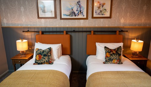 Chambre Standard avec lits jumeaux, 2 lits une place