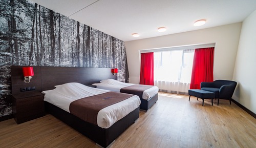 Chambre Deluxe avec lits jumeaux
